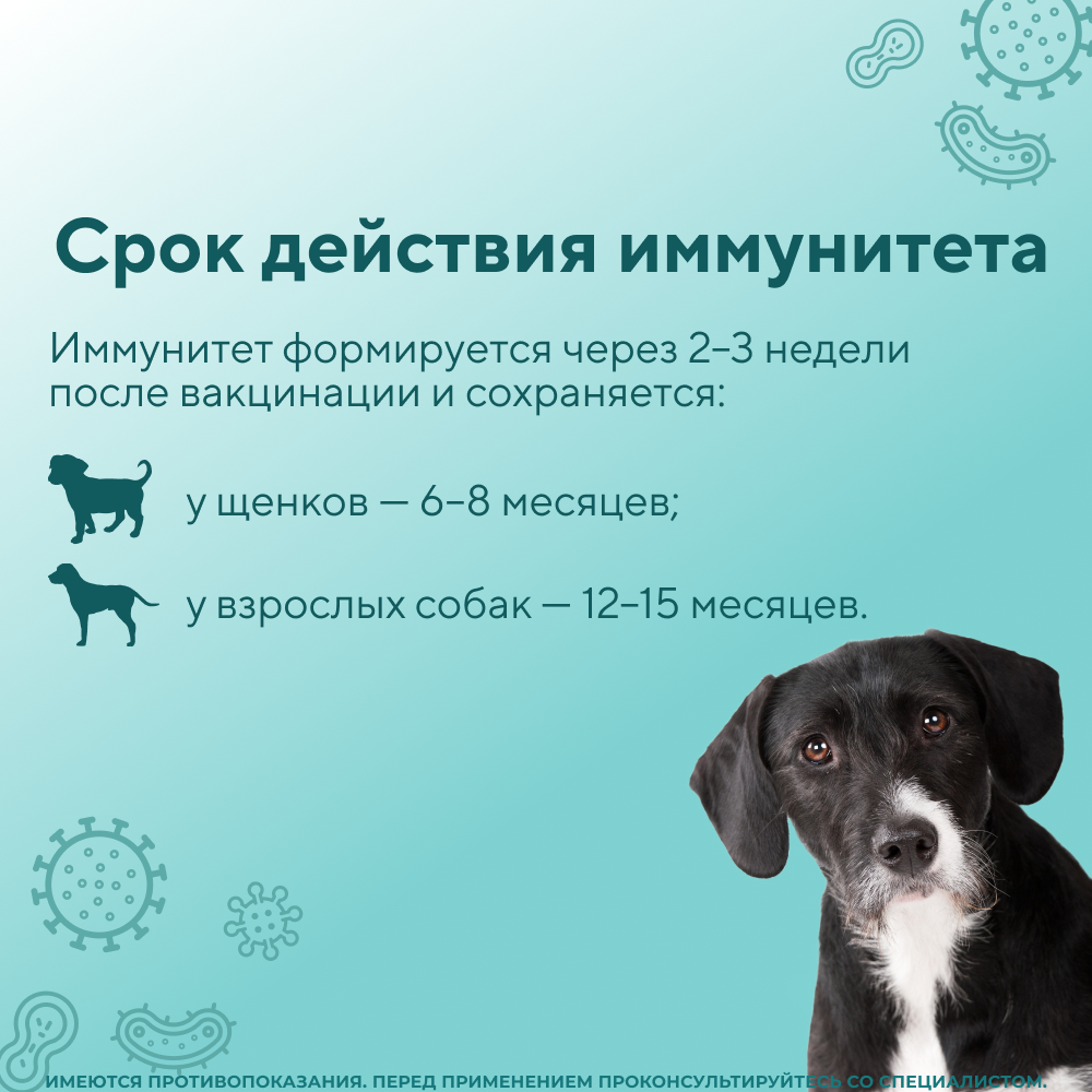 Вакцина для собак НАРВАК Мультикан-8, 1 доза