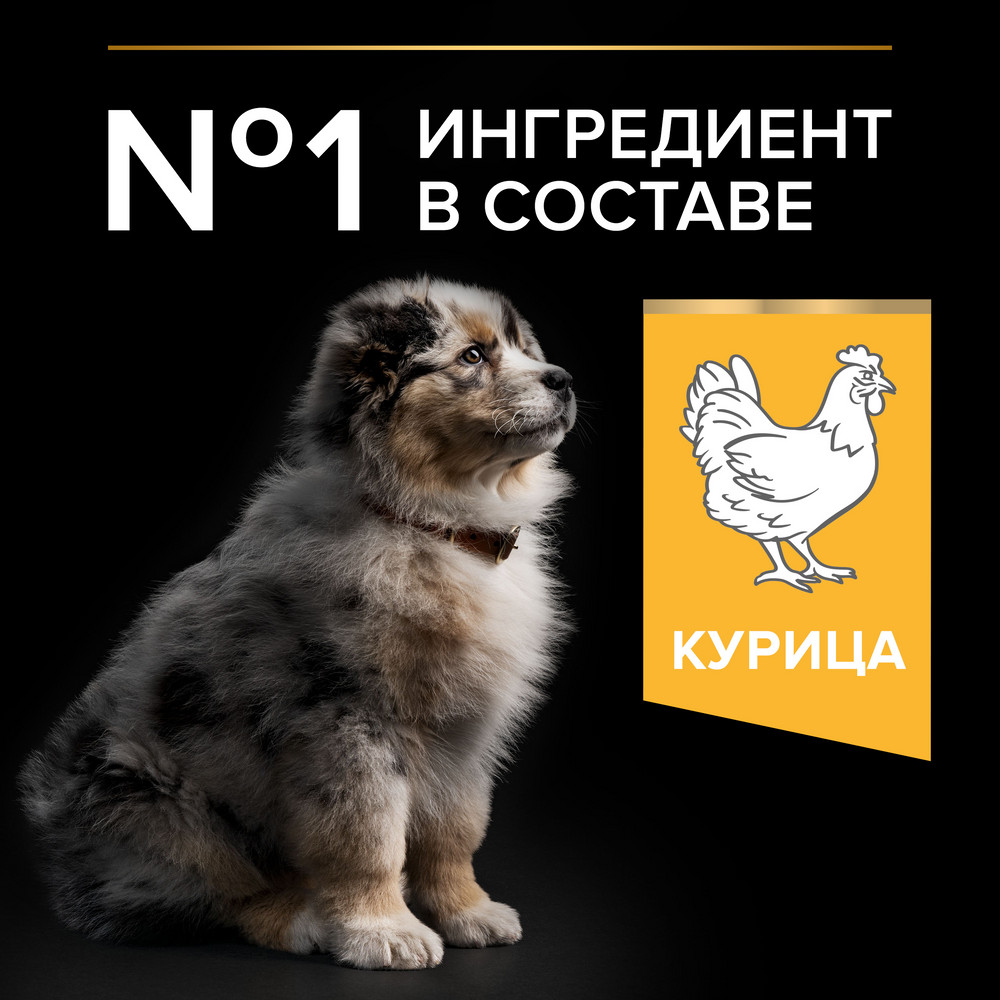 Корм для щенков PRO PLAN Healthy Start для средних пород, с курицей сух.
