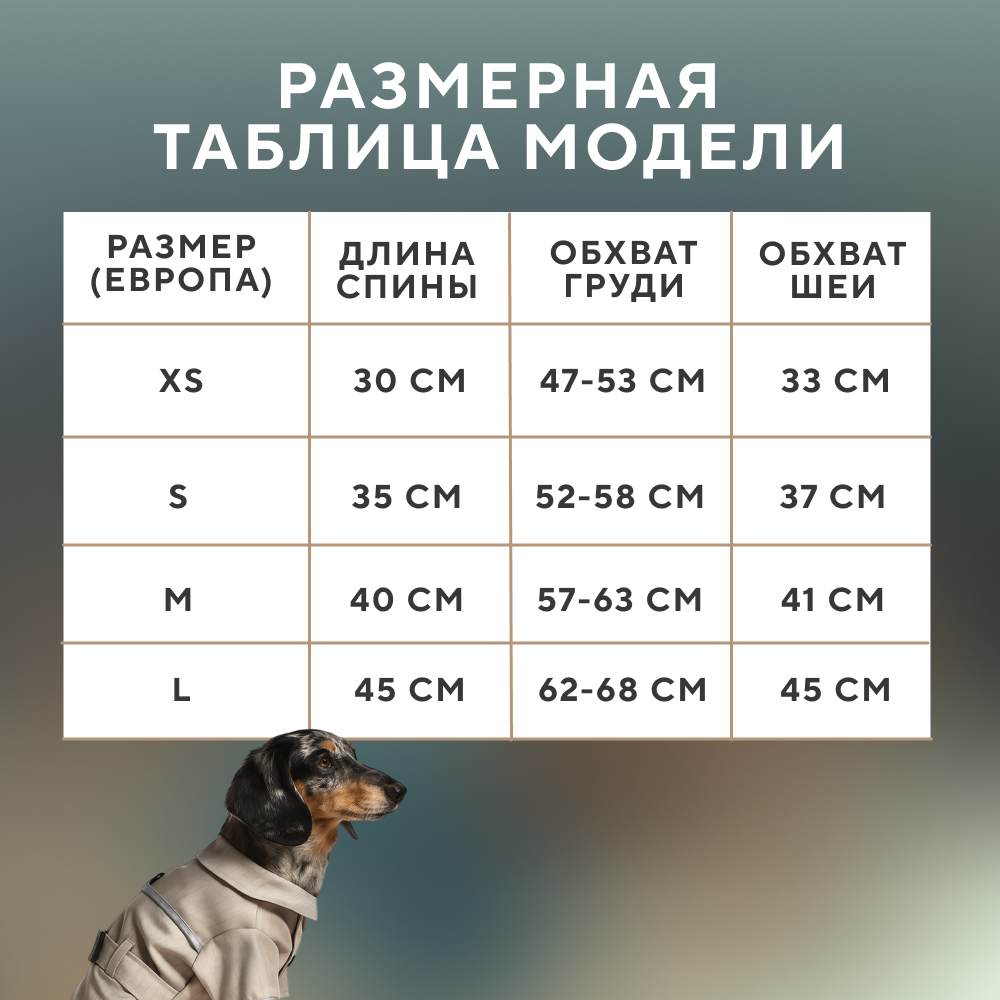Куртка для собак FOXIE Grace бежевая