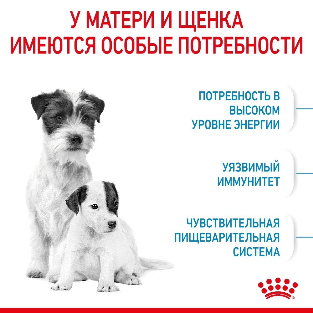 Корм для щенков, беременных и кормящих собак ROYAL CANIN Starter Mother&Babydog Mini для мелких пород сух.