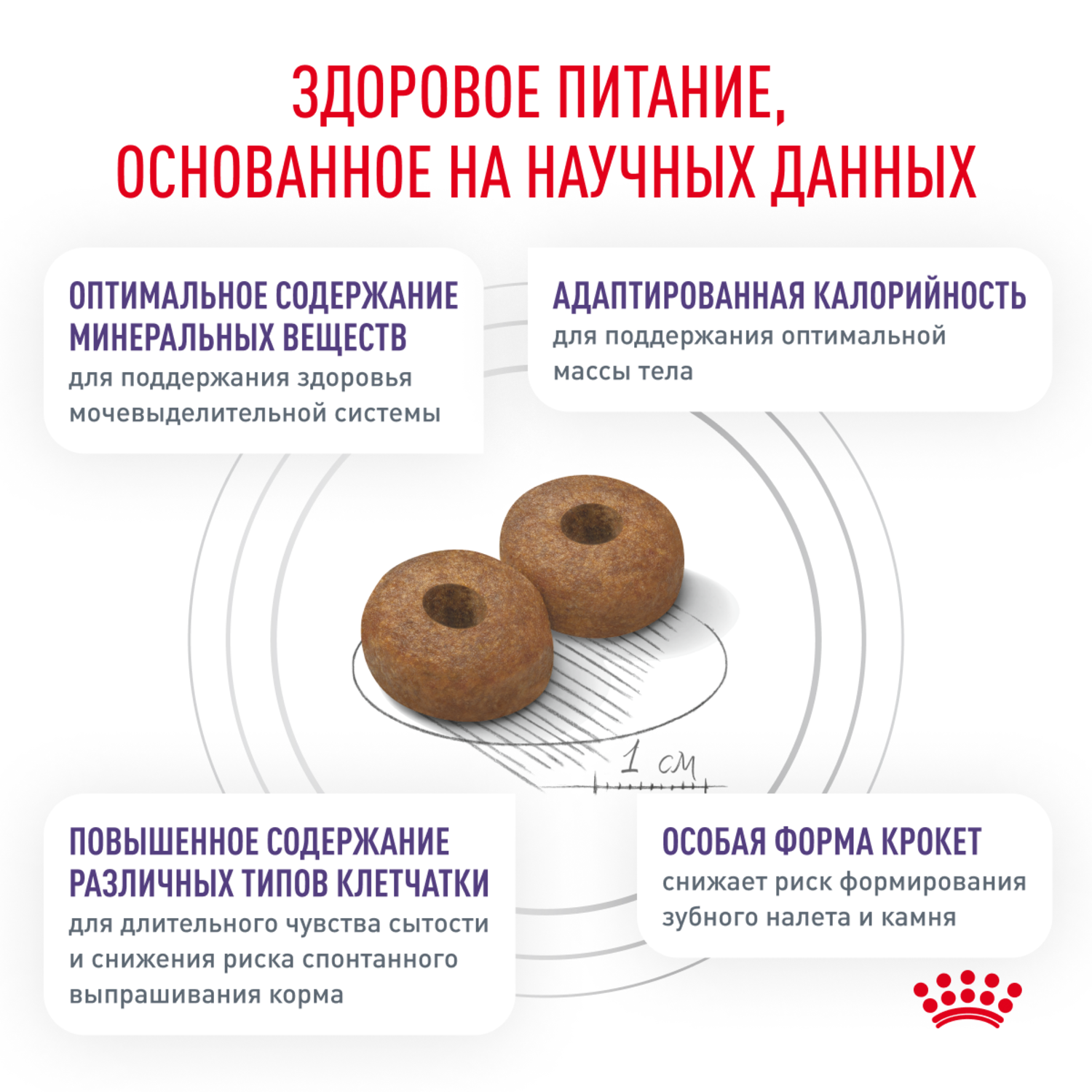 Корм для собак ROYAL CANIN Neutered Adult Small Dog для стерилизованных и кастрирированных мелких пород сух.