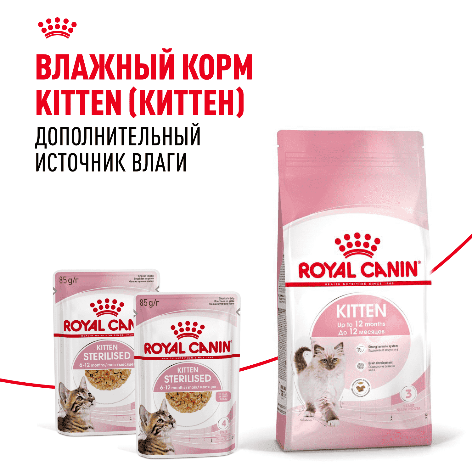 Корм для котят ROYAL CANIN сбалансированный в период второй фазы роста сух.