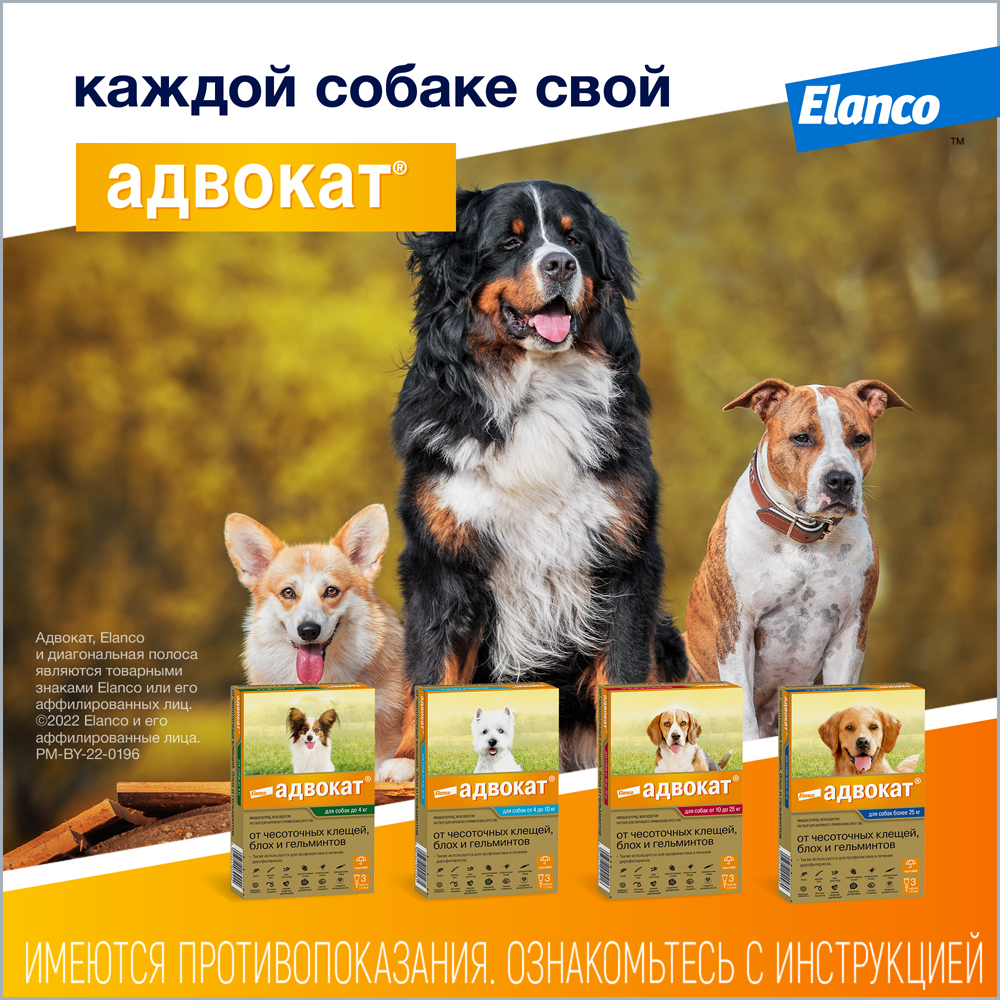 Капли для собак ELANCO Адвокат 100 от чесоточных клещей, блох и гельм. 4-10кг 1мл 1 пип.в упак.