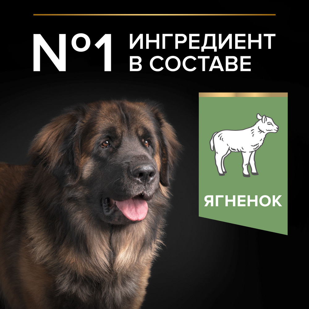 Корм для собак PRO PLAN Opti digest для крупн.пород мощн.телослож. с чув.пищ., с ягненком сух.