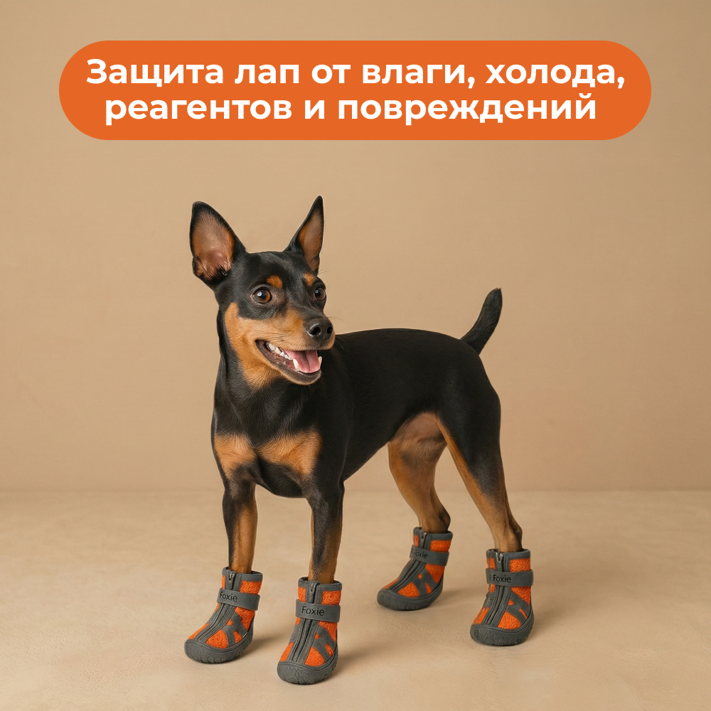 Ботинки для собак FOXIE Electro L 4,8х4,3см оранжевые