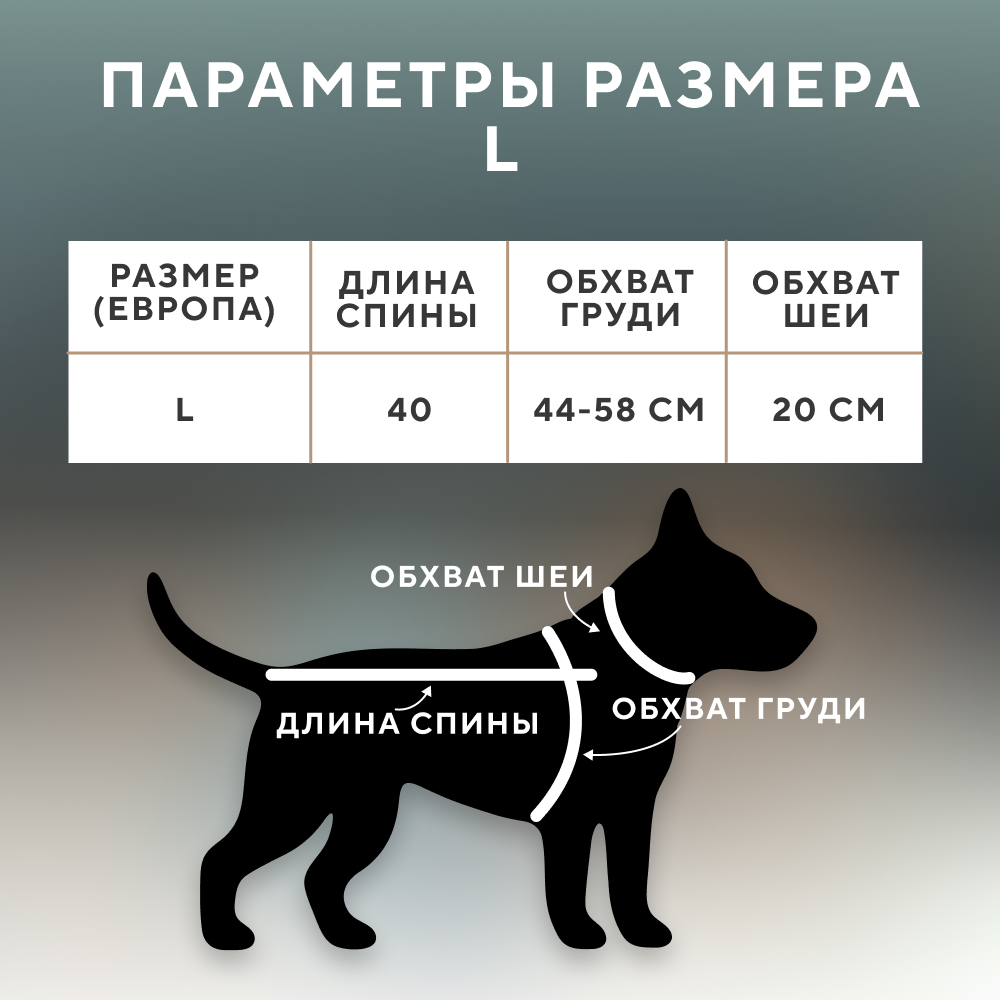 Дождевик для собак FOXIE Rain прозрачный оранжевый