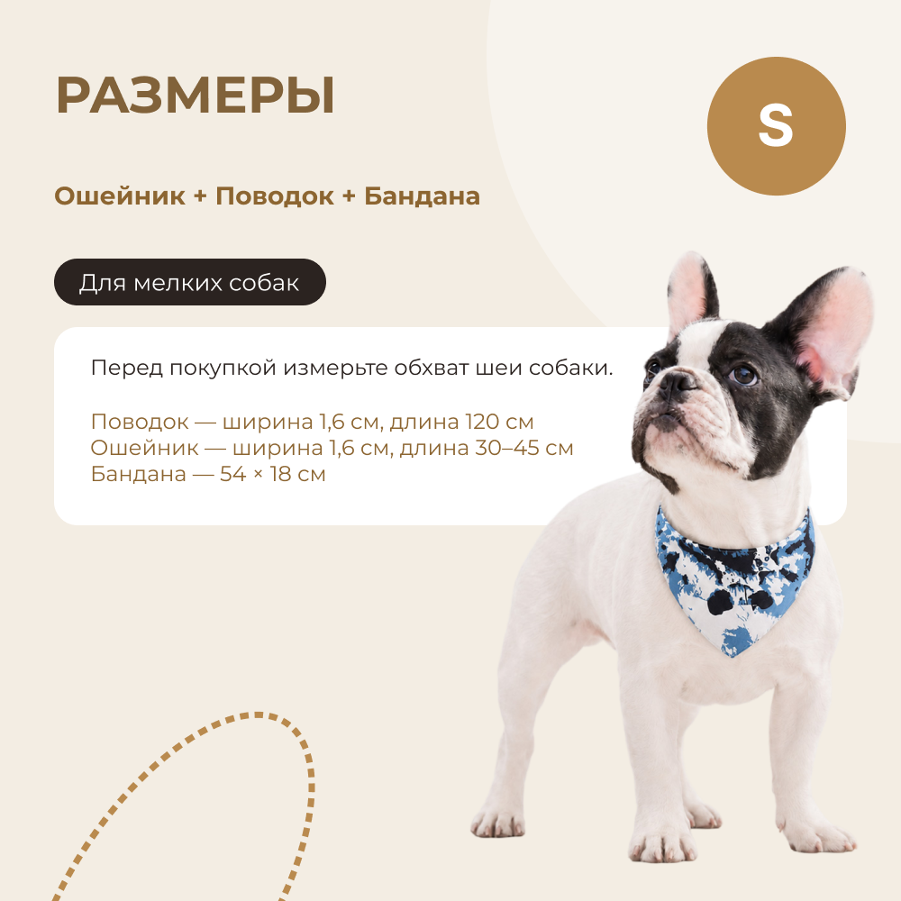 Комплект амуниции для собак FOXIE Gift S голубой