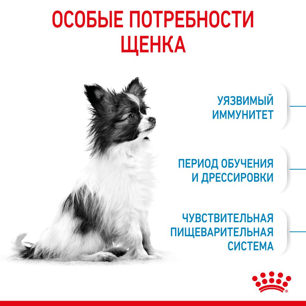 Корм для щенков ROYAL CANIN X-Small Puppy для миниатюрных пород до 10мес. сух.