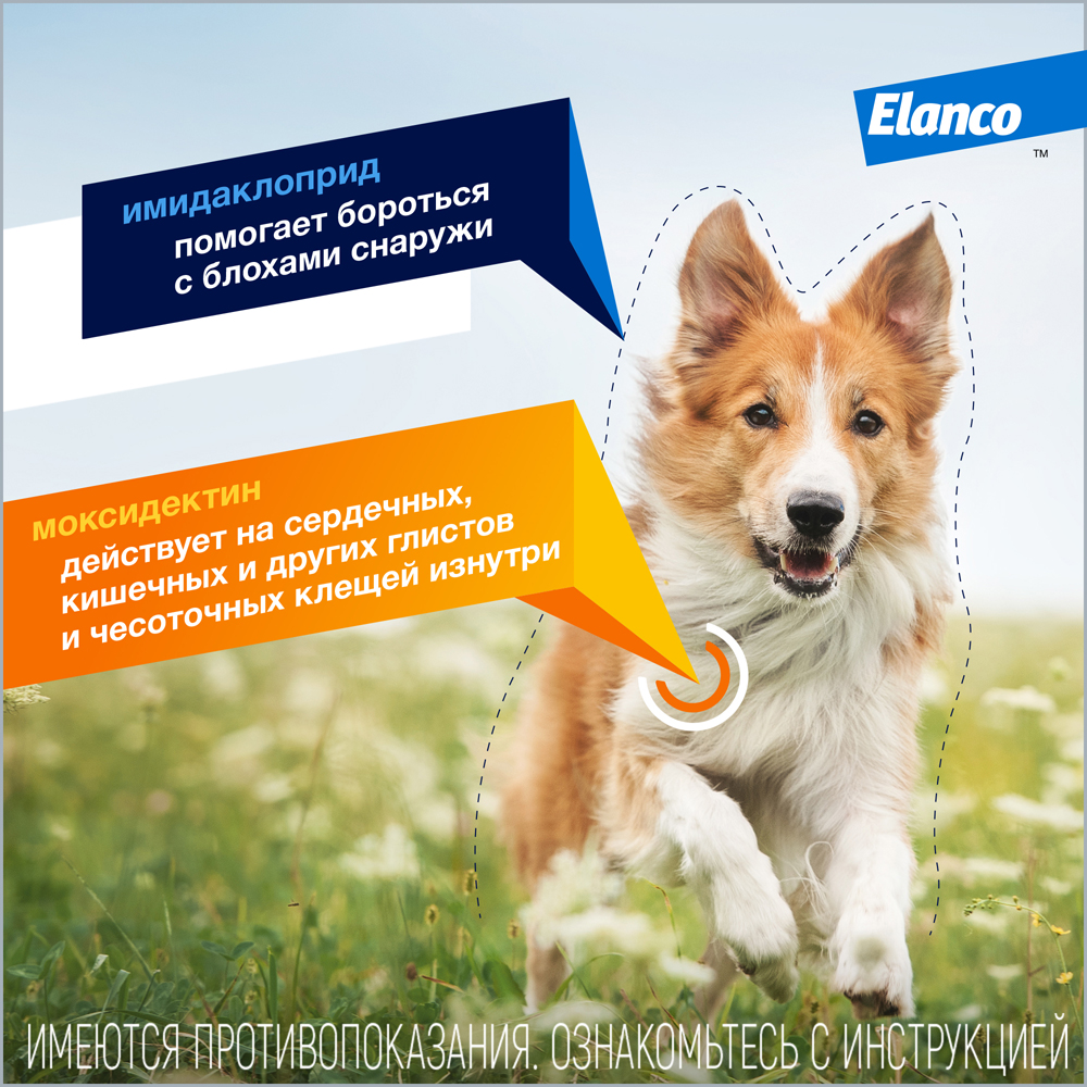 Капли для собак ELANCO Адвокат 250 от чесоточных клещей, блох и гельм. 10-25кг 2,5мл 1 пип.в упак.
