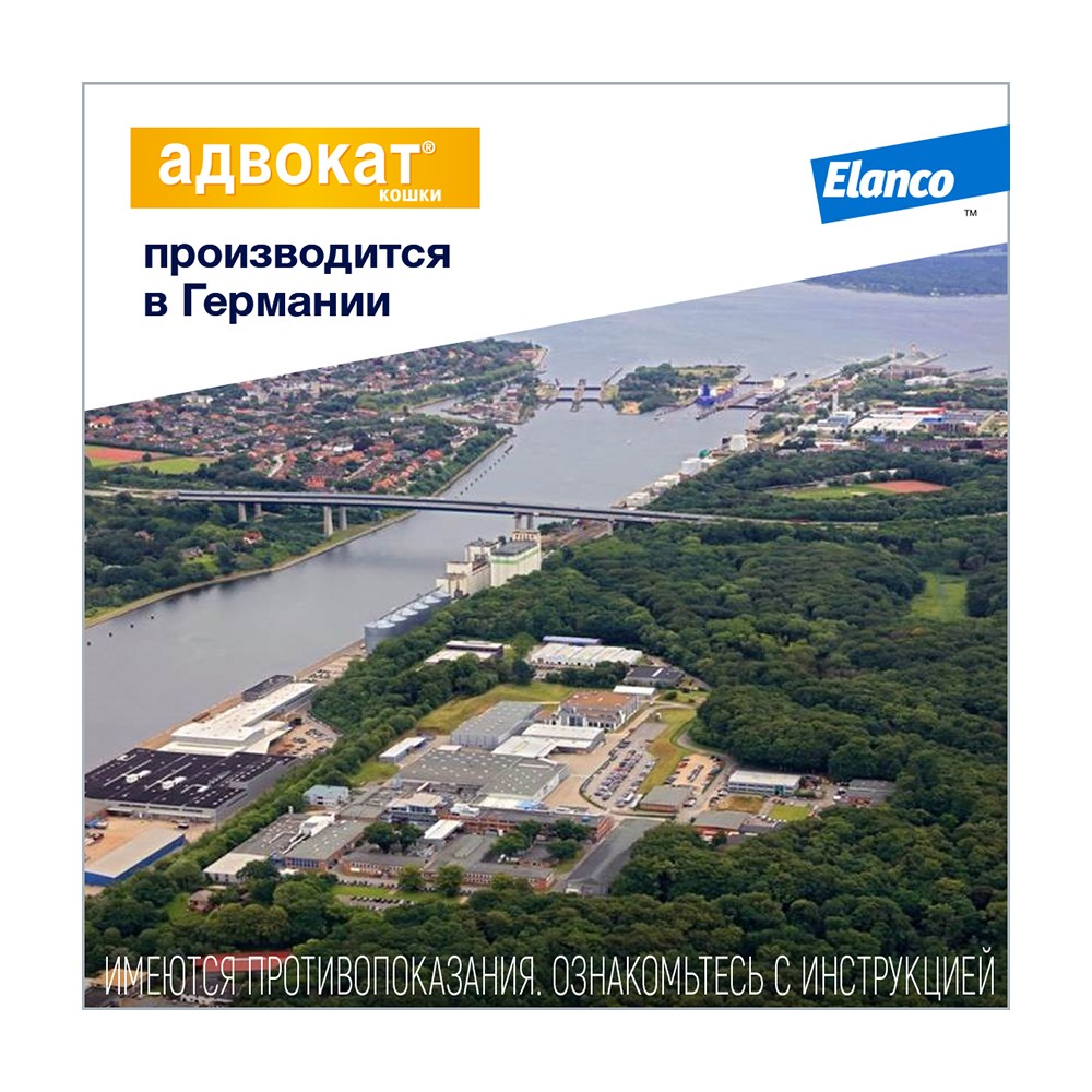 Капли для кошек ELANCO Адвокат от чесоточных клещей, блох и гельминтов (4-8кг веса) 0,8мл,1 пип.в уп.
