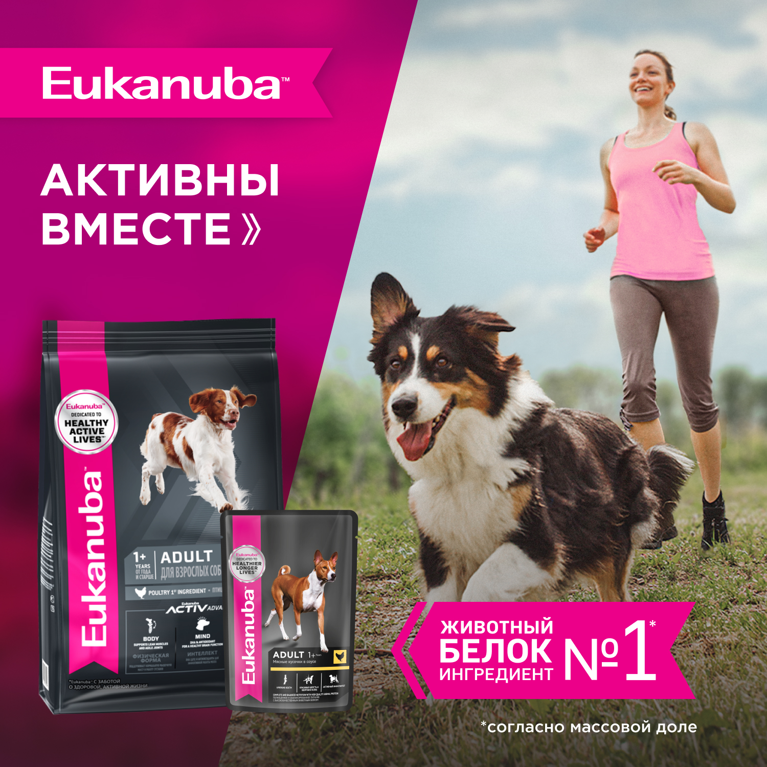 Корм для собак EUKANUBA курица в соусе пауч