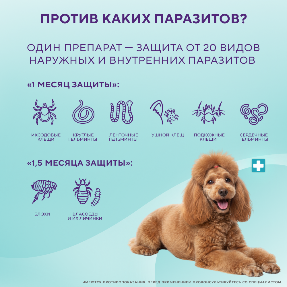 Капли для собак INSPECTOR Quadro от внешних и внутренних паразитов (от 10 до 25кг)
