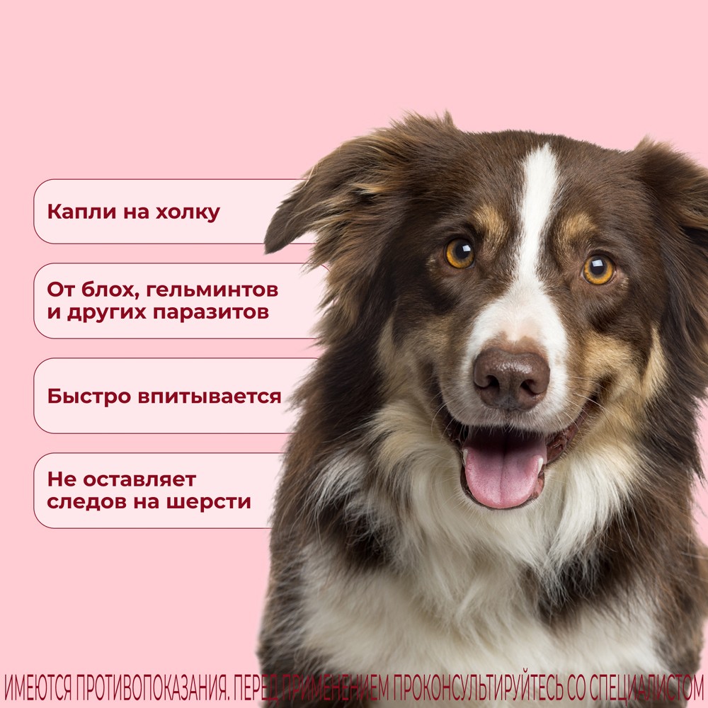 Капли для собак KRKA Селафорт от ушных и чесоточ.клещей, блох, гельминтов 10,1-20кг (120мг) 1 уп.