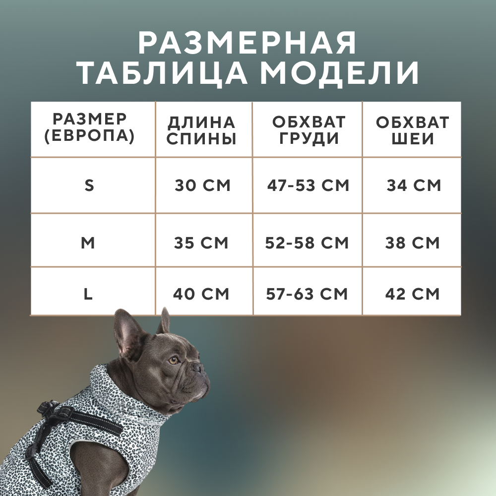 Куртка со шлейкой для собак FOXIE Noise разноцветная