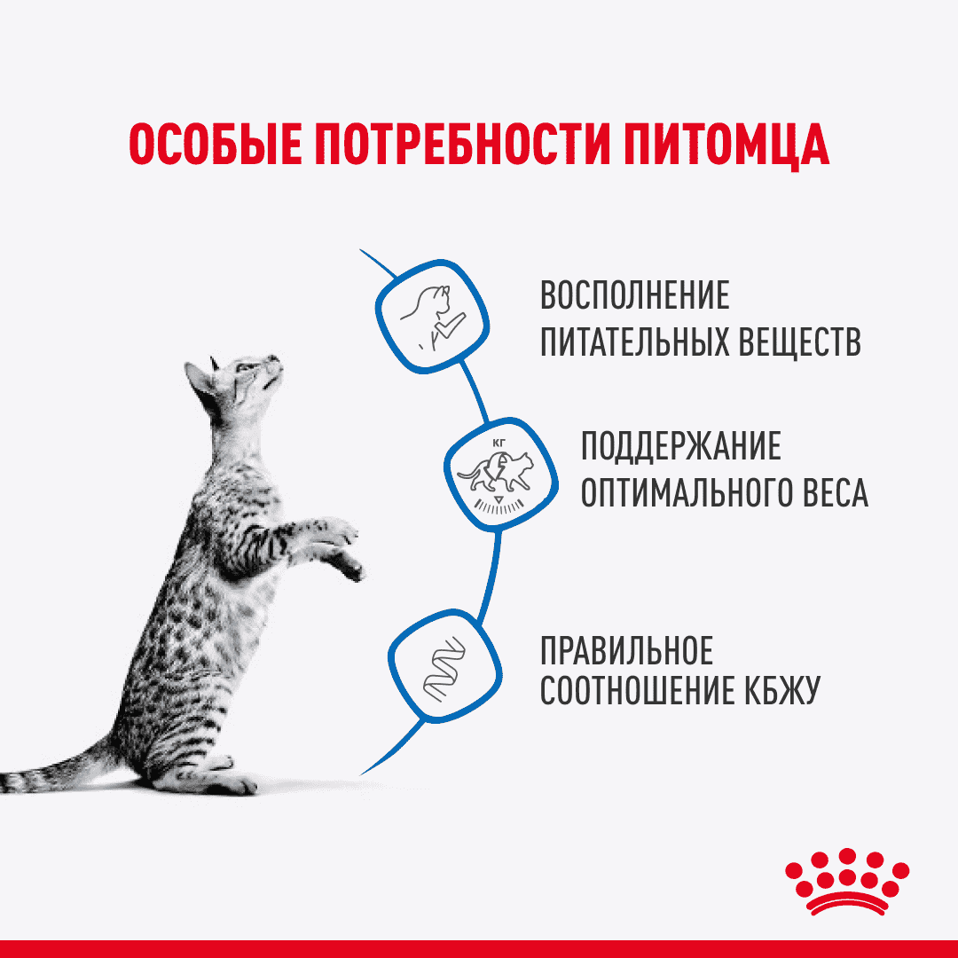 Корм для кошек ROYAL CANIN Indoor Sterilized для стерилиз.живущих в помещ., кусочки в соусе пауч