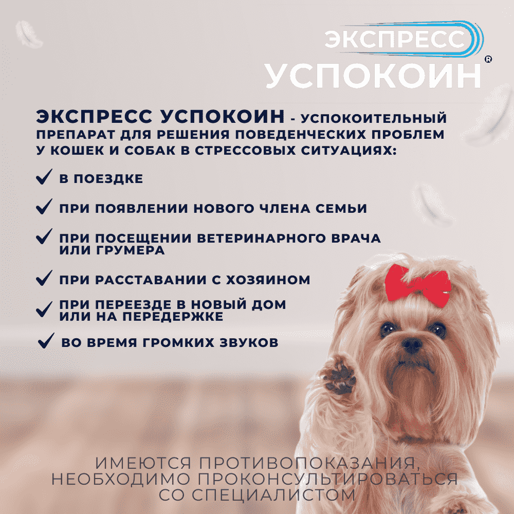 Таблетки для собак мелких пород ЭКСПРЕСС УСПОКОИН коррекция поведения 6шт