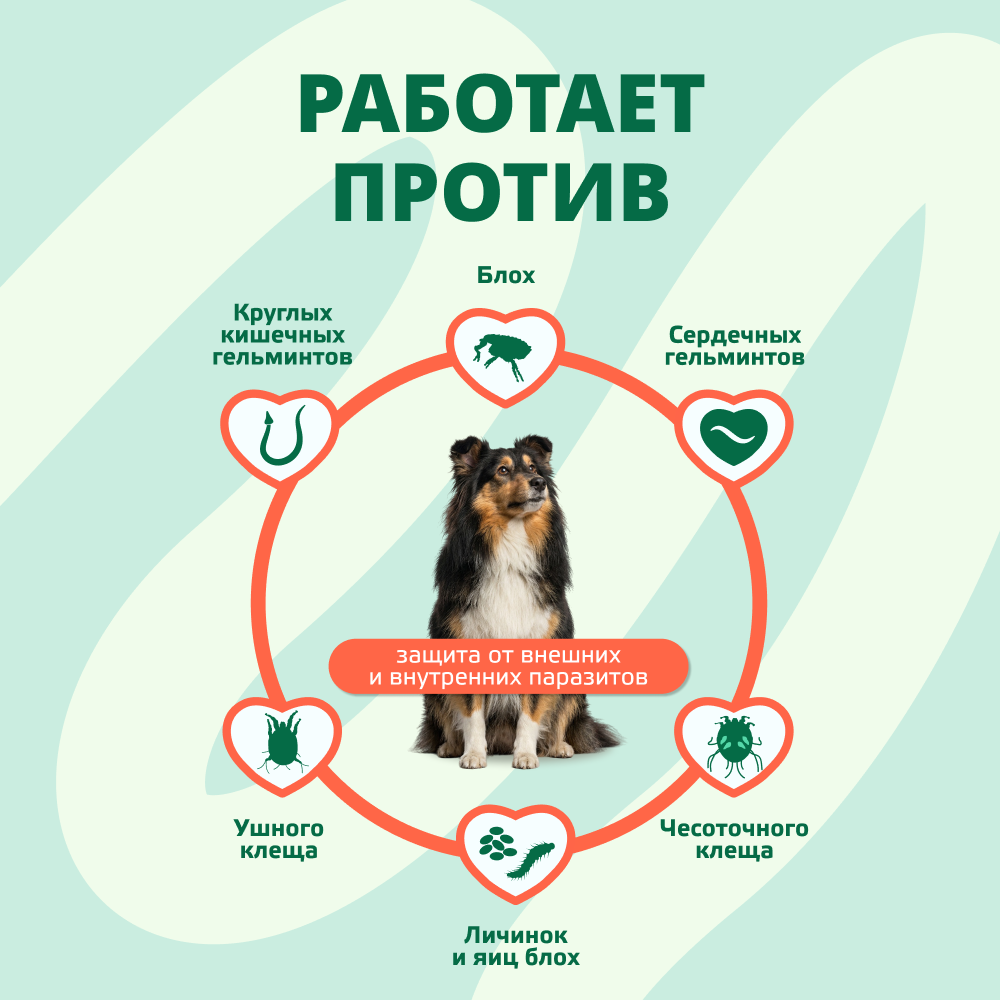 Капли для собак KRKA Селафорт от ушных и чесоточ.клещей, блох, гельминтов 20,1-40кг (240мг) 1 уп.