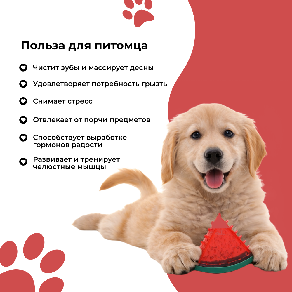 Игрушка для собак FOXIE Watermelon для чистки зубов 9x10см