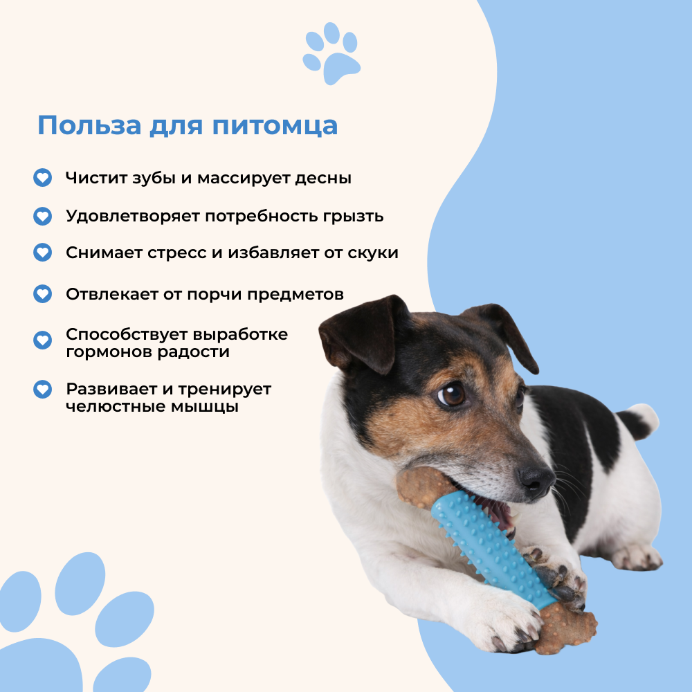 Игрушка для собак FOXIE Munch Кость массажная 16,8х5,5х2см нейлон синяя