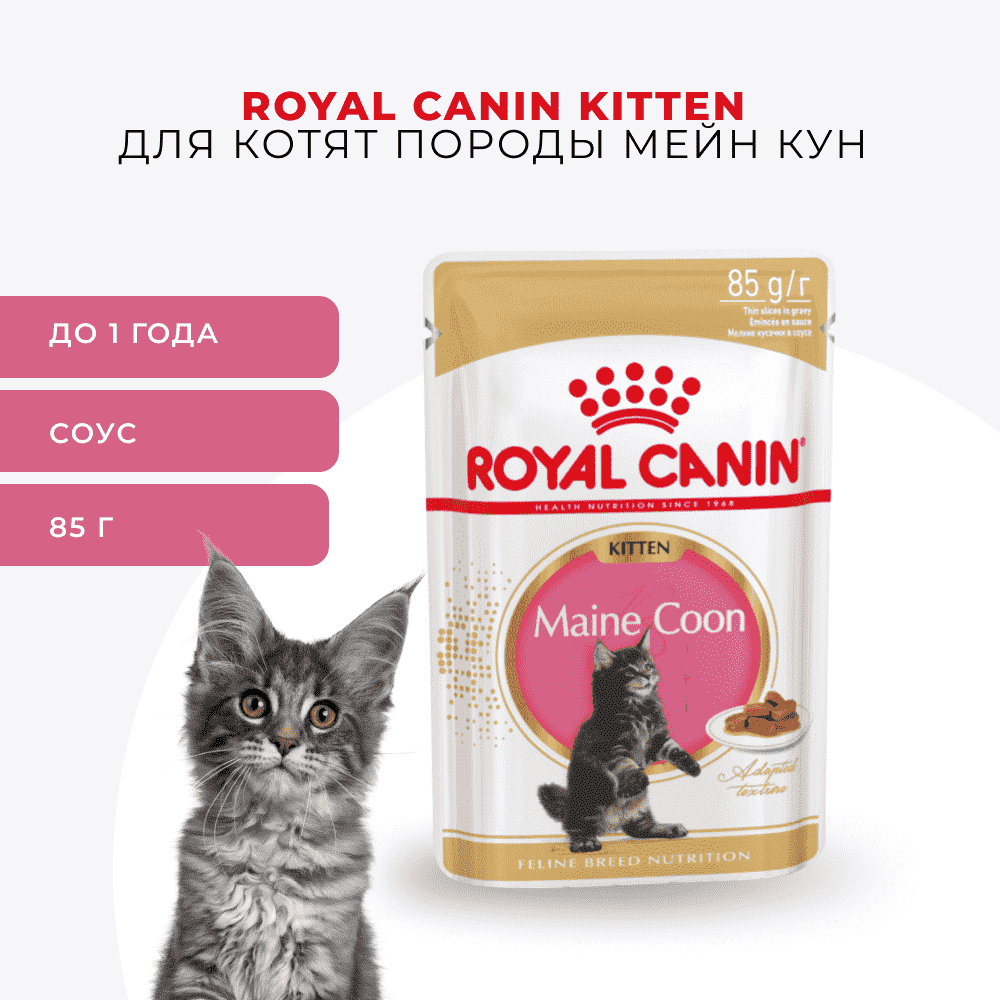Корм для котят ROYAL CANIN Maine Coon для породы Мэйн Кун, кусочки в соусе пауч
