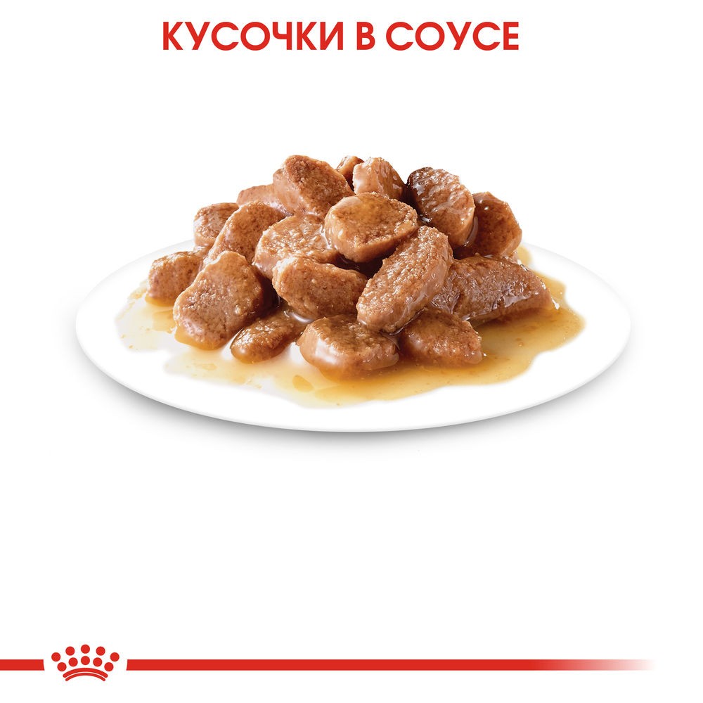 Корм для кошек ROYAL CANIN Instinctive мясо в соусе пауч
