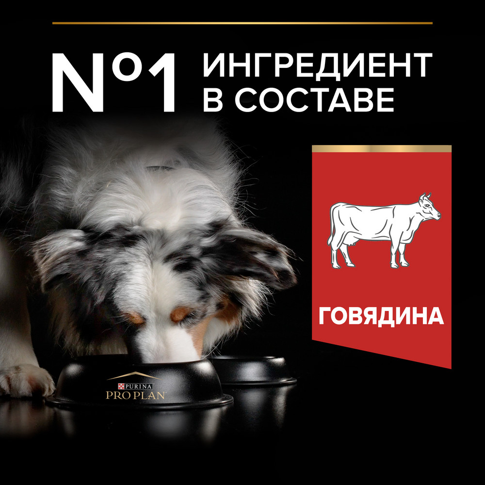 Корм для собак PRO PLAN Duo delice для средних и крупных пород, с говядиной сух.