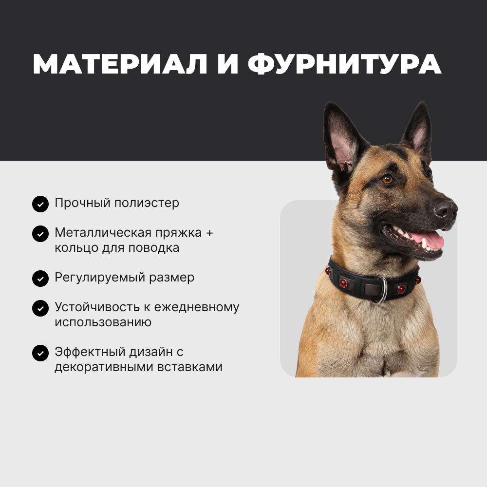 Ошейник для собак FOXIE Jewel L 2,5х40-55см черный