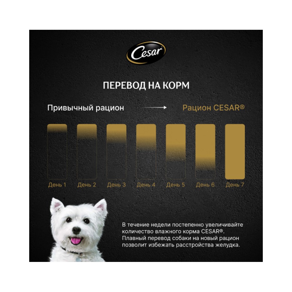 Корм для собак CESAR паштет с говядиной пауч