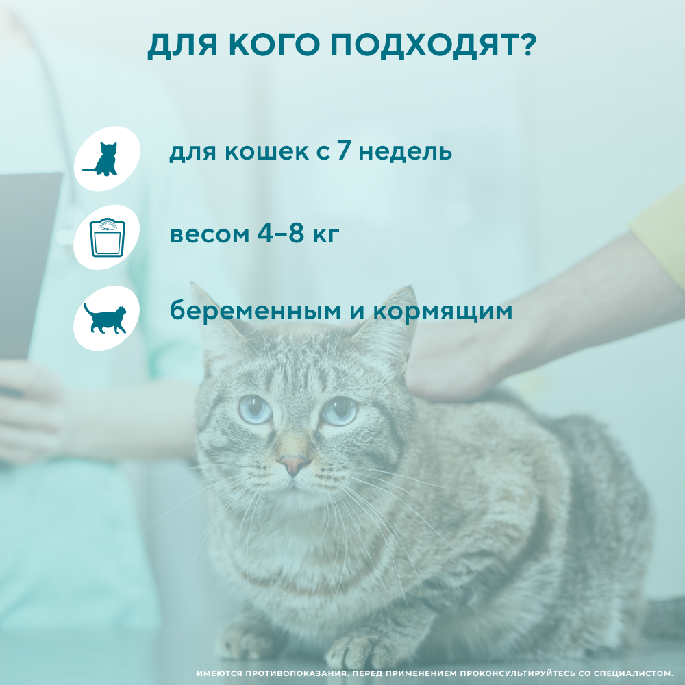 Капли на холку для кошек INSPECTOR Quardo от клещей, блох и глистов 4-8кг