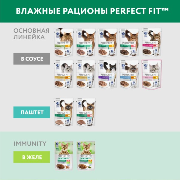 Корм для кошек PERFECT FIT Immunity говядина лён пауч