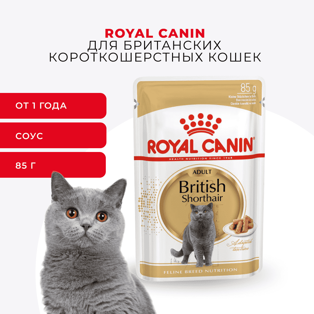 Корм для кошек ROYAL CANIN British Shorthair для британ.короткошерстной породы,мясо в соусе пауч