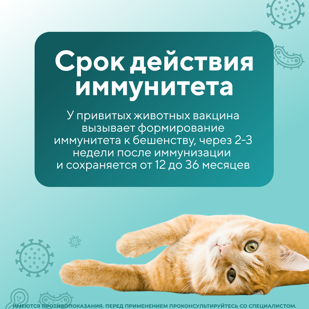 Вакцина ВЕТБИОХИМ РАБИФЕЛ против бешенства кошек инактивированная 1 флакон