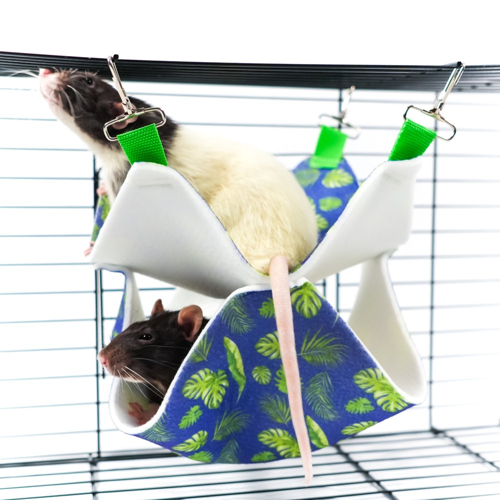 Гамак для грызунов и хорьков BAMBINI PETS Двухуровневый подвесной из фетра 23х23х6см