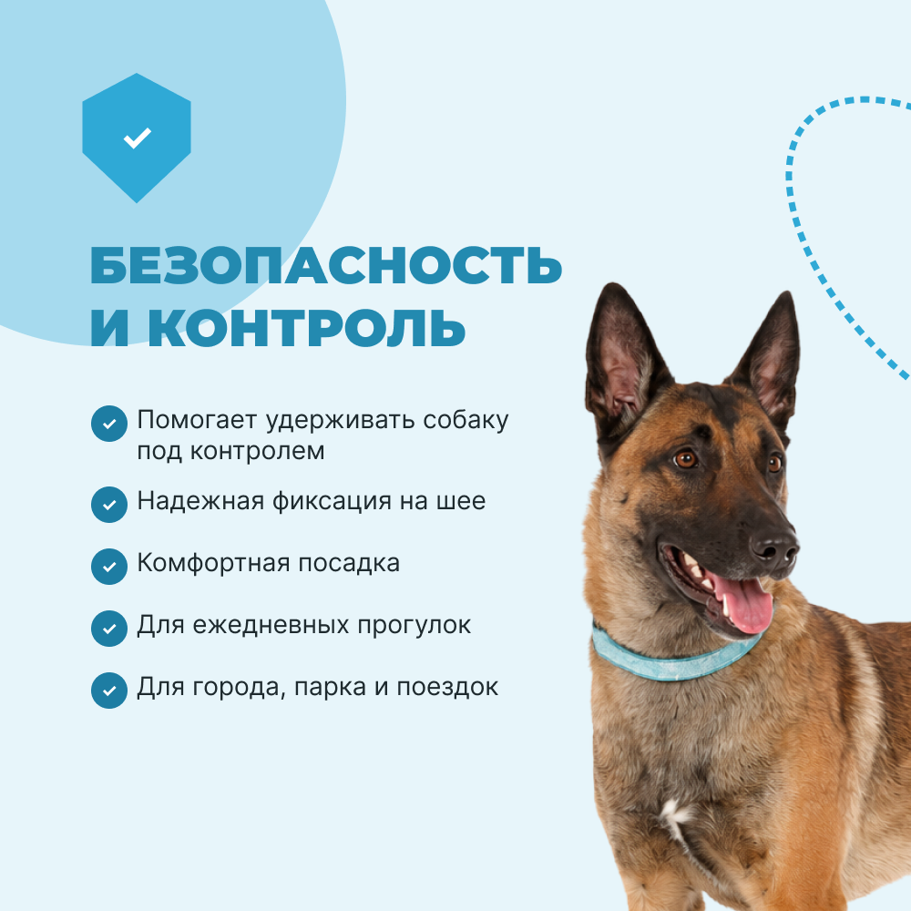 Ошейник для собак FOXIE Lily XL 2,5х55см голубой