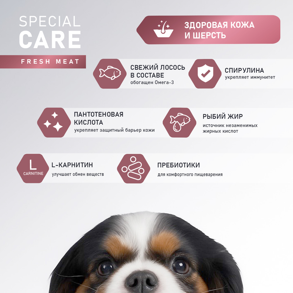 Корм для собак AWARD Special Care для здоровой кожи и шерсти, свежий лосось сух.