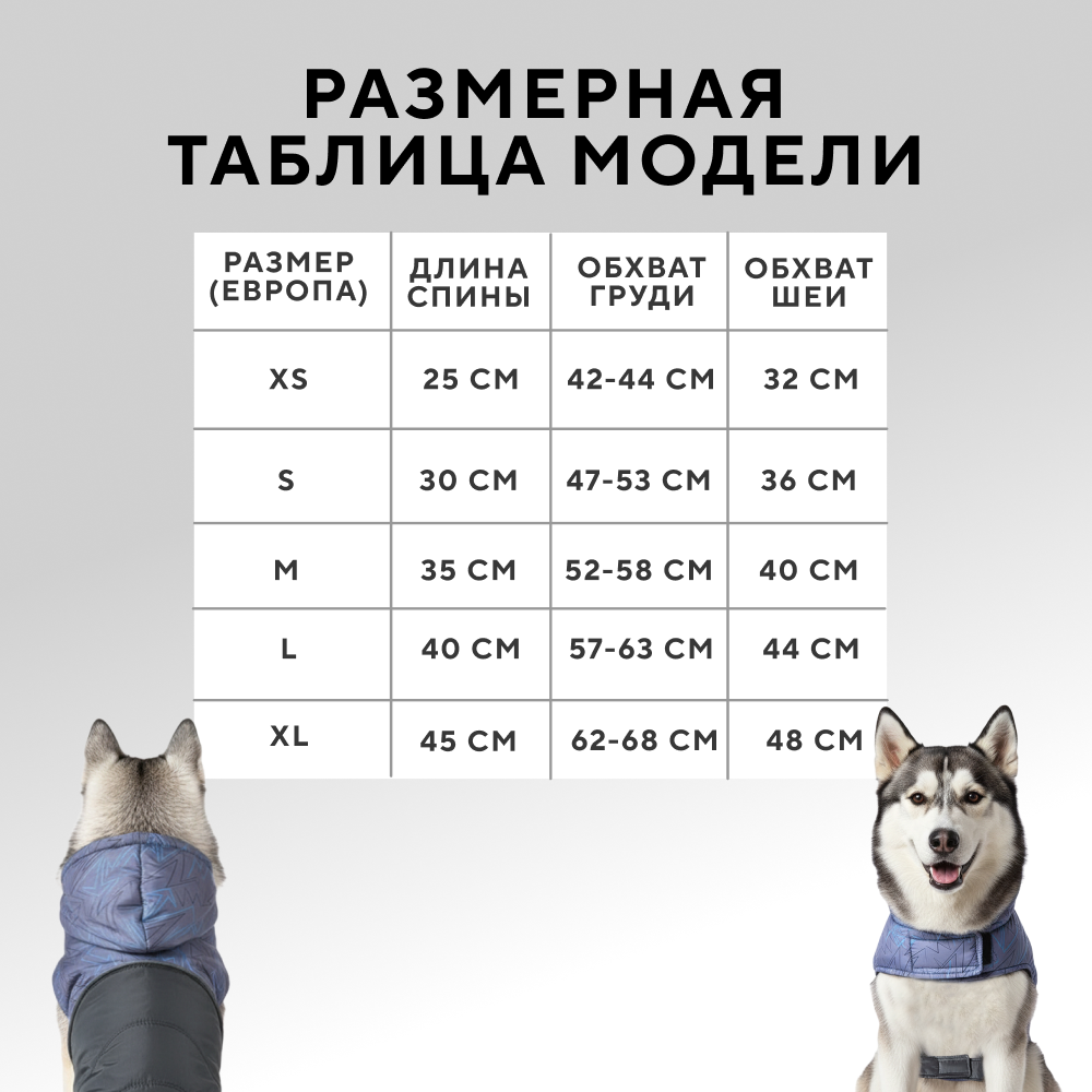 Попона для собак FOXIE Bright sparks разноцветная