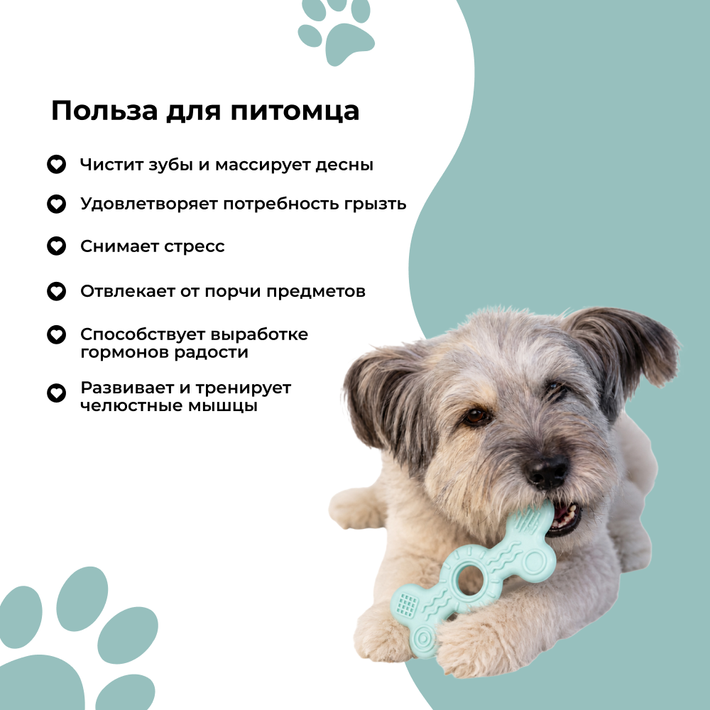 Игрушка для собак FOXIE Smart Кость массажная 5х14,5см голубая