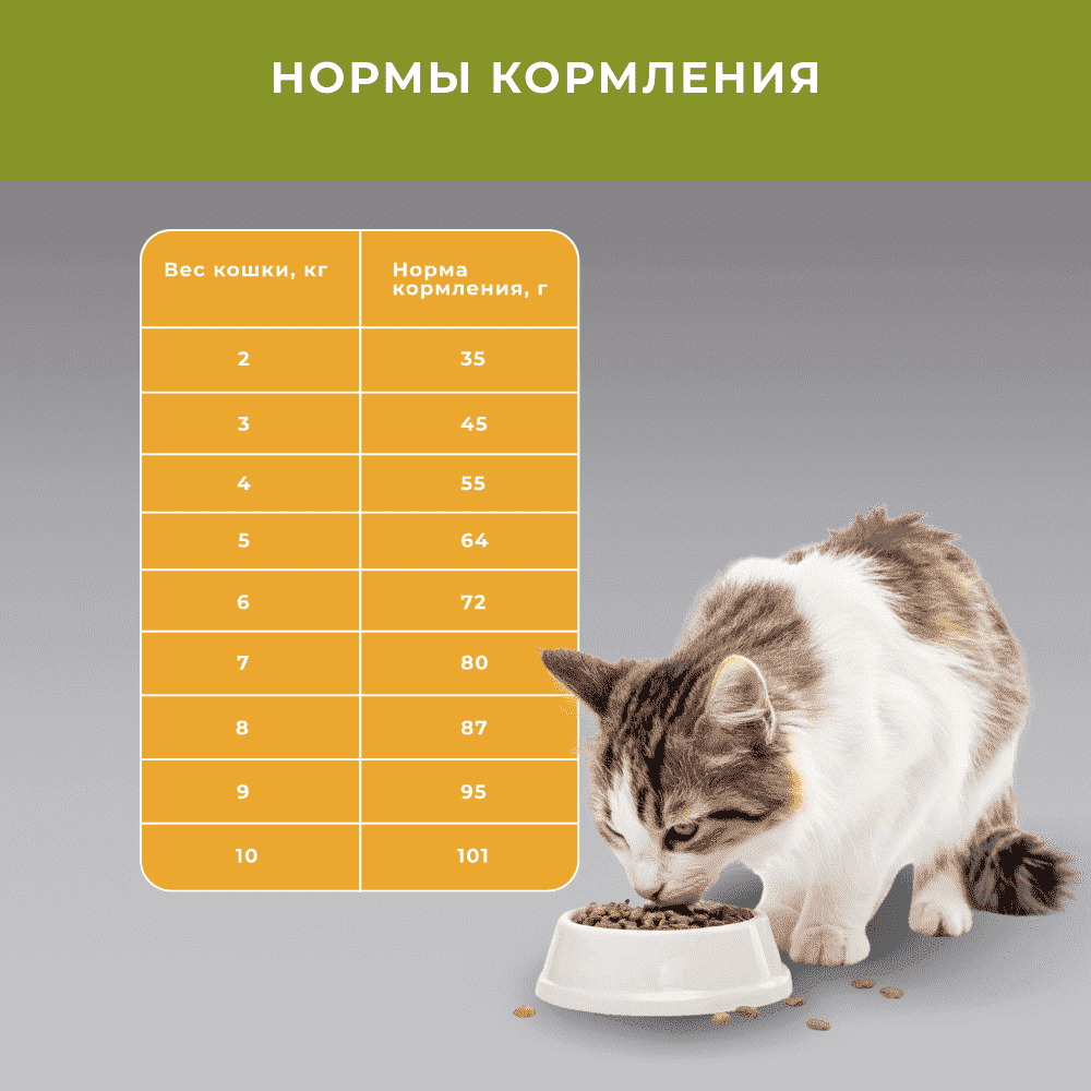 Корм для кошек ELATO Holistic для выведения шерсти, курица с уткой сух.