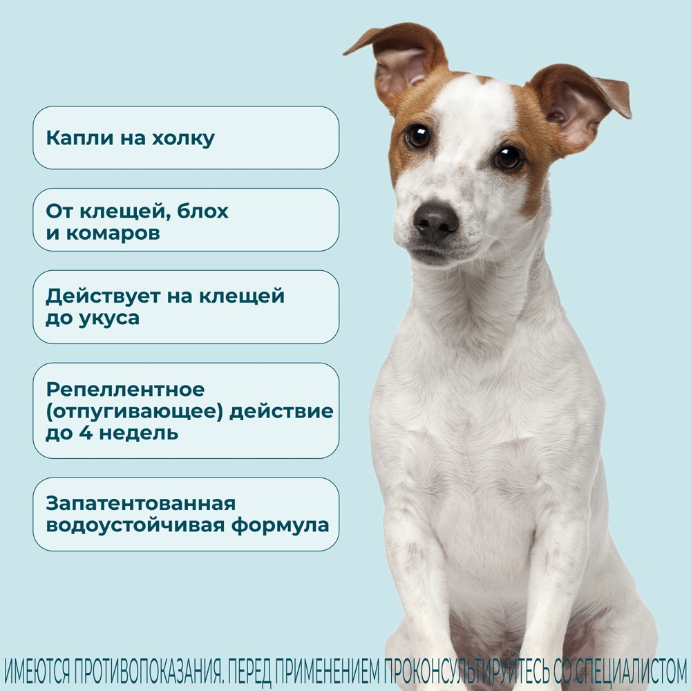 Капли для собак KRKA Атакса от иксодовых клещей, блох, вшей, власоедов (4-10кг веса) 1,0мл