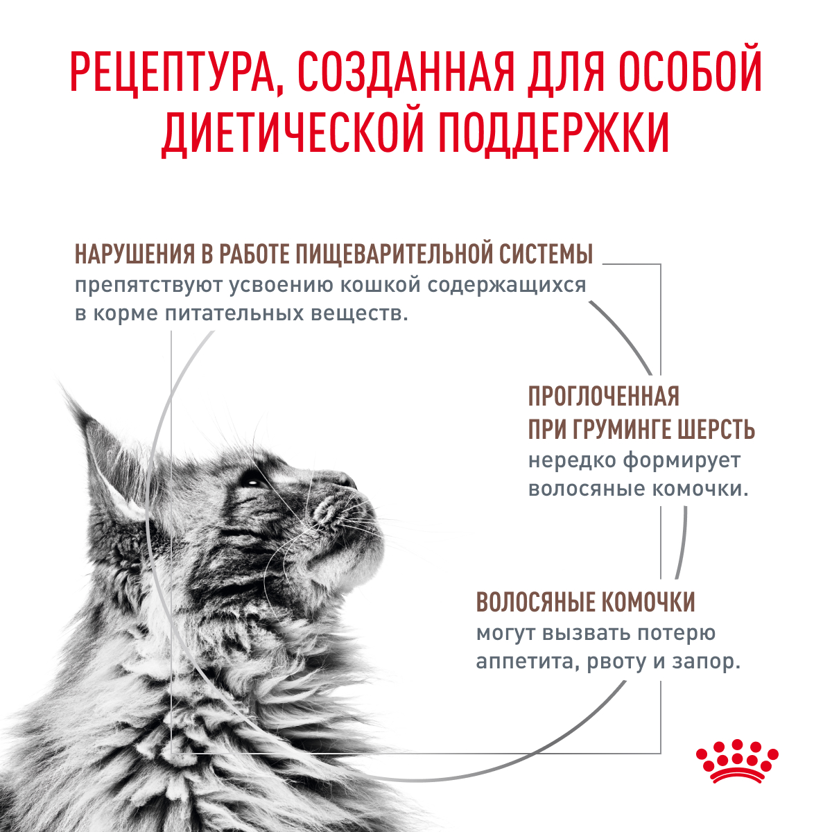 Корм для кошек ROYAL CANIN Gastrointestinal Hairball для проф.образ.волосяных комочков сух.