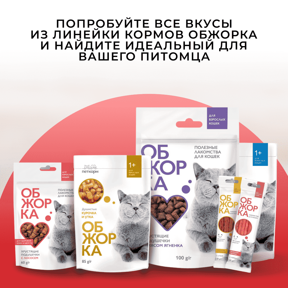 Корм для кошек ОБЖОРКА кусочки в желе с телятиной и ягнёнком пауч