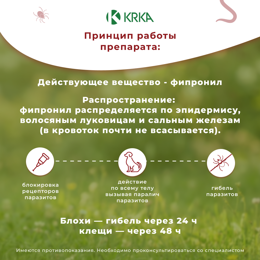 Капли для собак KRKA Фиприст Спот Он 2-10кг 67мг (3 пипетки в упак.)