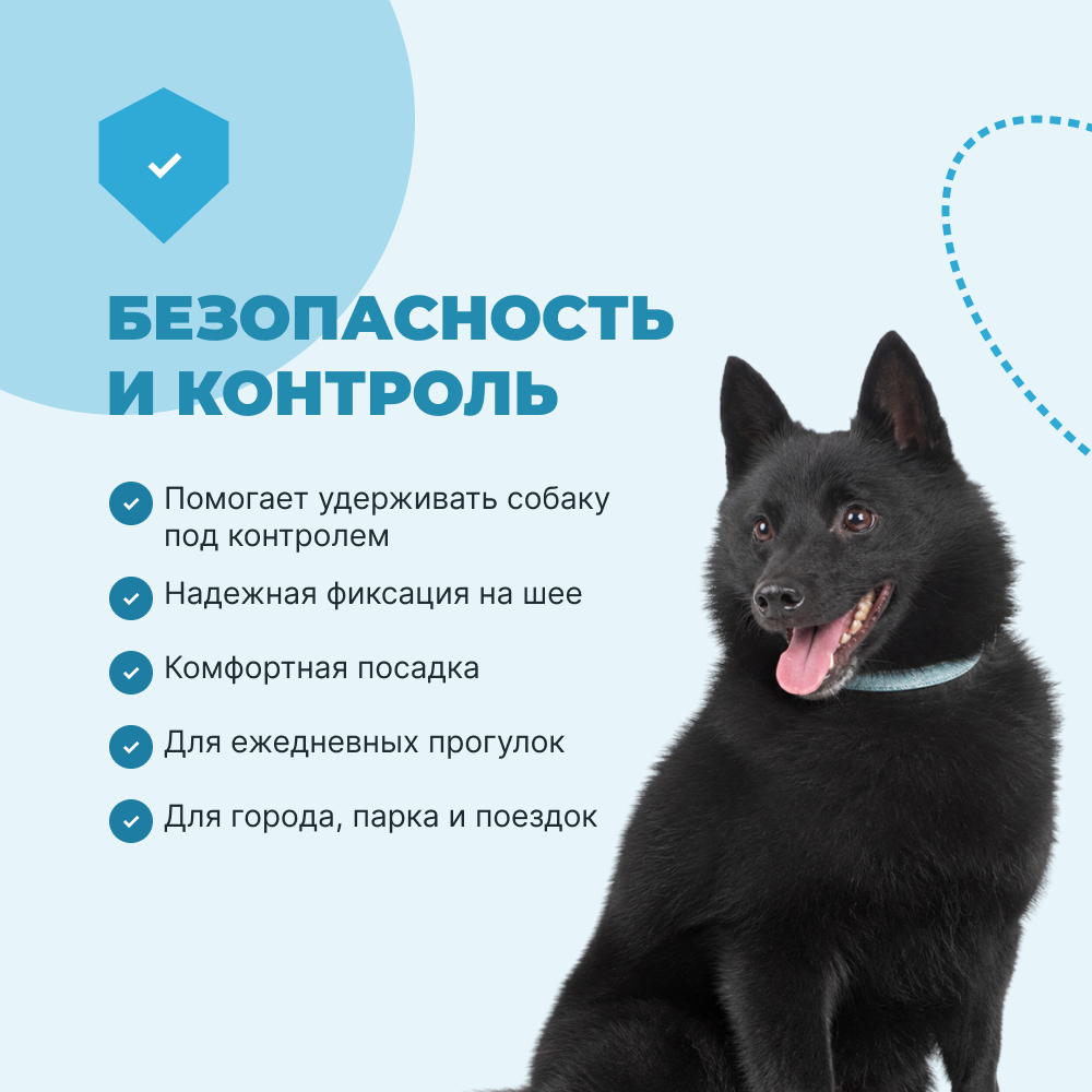 Ошейник для собак FOXIE Lily M 1,5х35см голубой