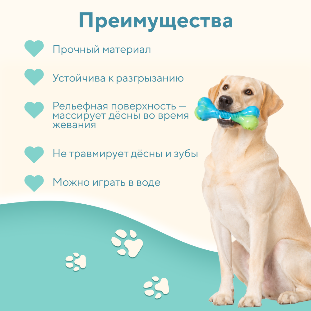 Игрушка для собак FOXIE Косточка массажная плавающая 17,5x7x4,5см
