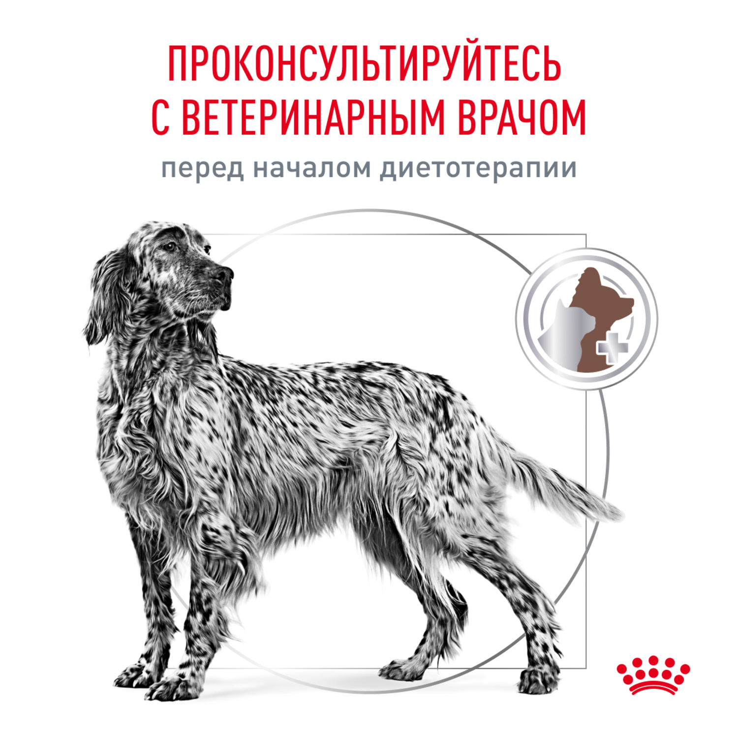 Корм для собак ROYAL CANIN Gastrointestinal Low Fat при нарушениях пищеварения сух.