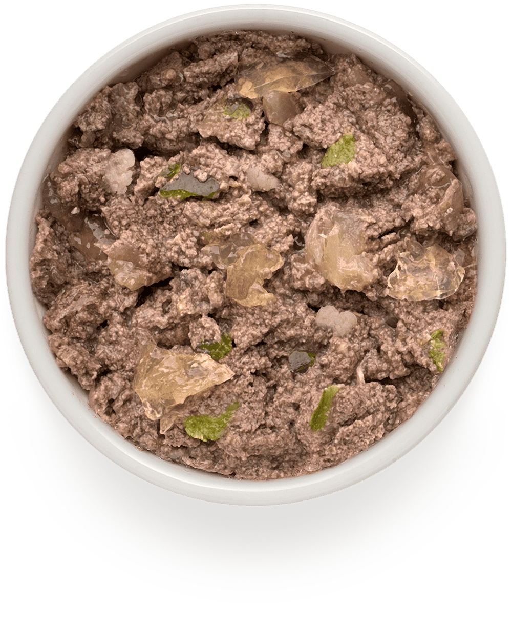 Корм для собак GRANDORF FRESH Паштет из ягненка с цуккини и цветной капустой банка