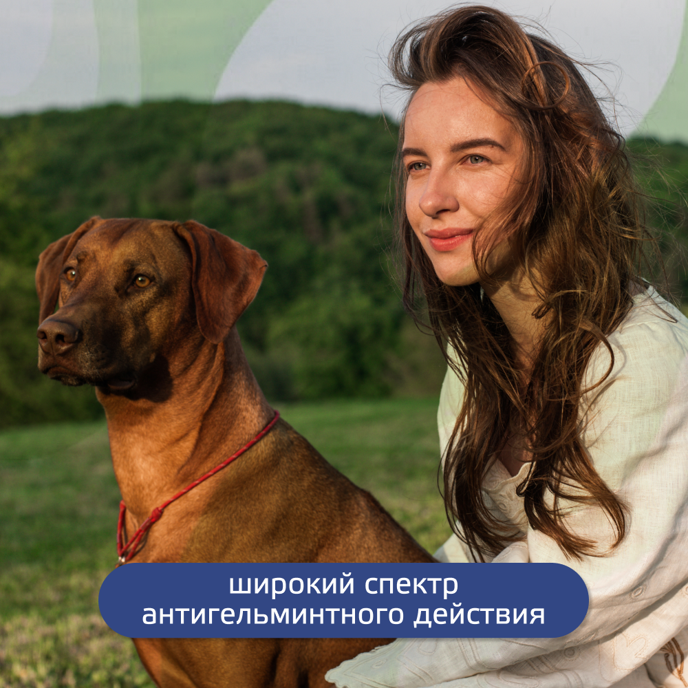 Антигельминтик для собак KRKA Милпразон, 2 таблетки