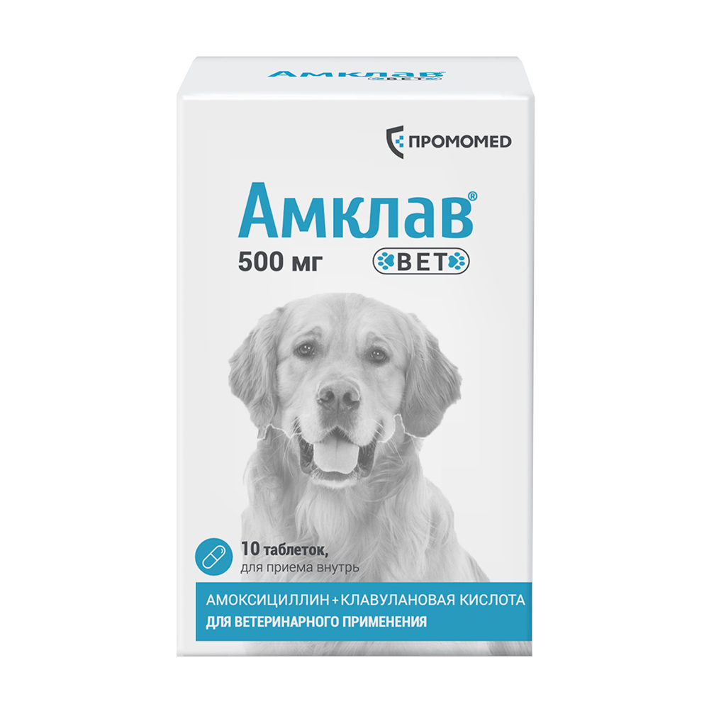 Препарат антибактериальный АМКЛАВ ВЕТ для собак и кошек 500мг 10табл (банка) (рецепт)