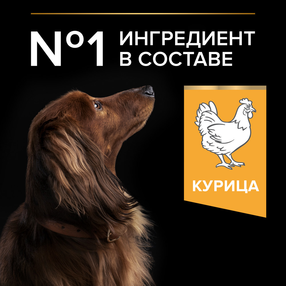 Корм для собак PRO PLAN Everyday Nutrition для мелких и карликовых пород, с курицей сух.