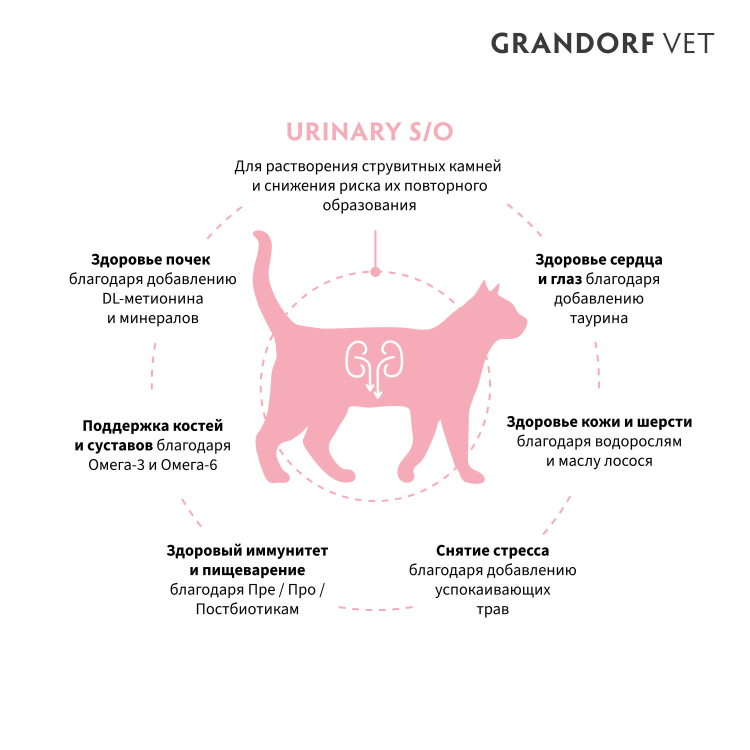 Корм для кошек GRANDORF VETERINARY DIET Cat Urinary S/O сух.